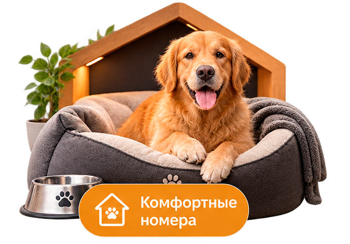 Номер