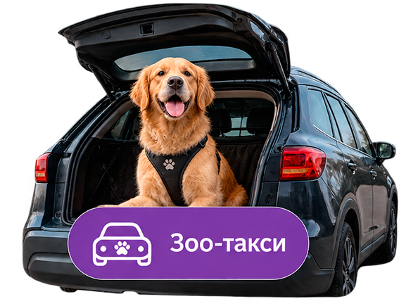 Зоо-такси